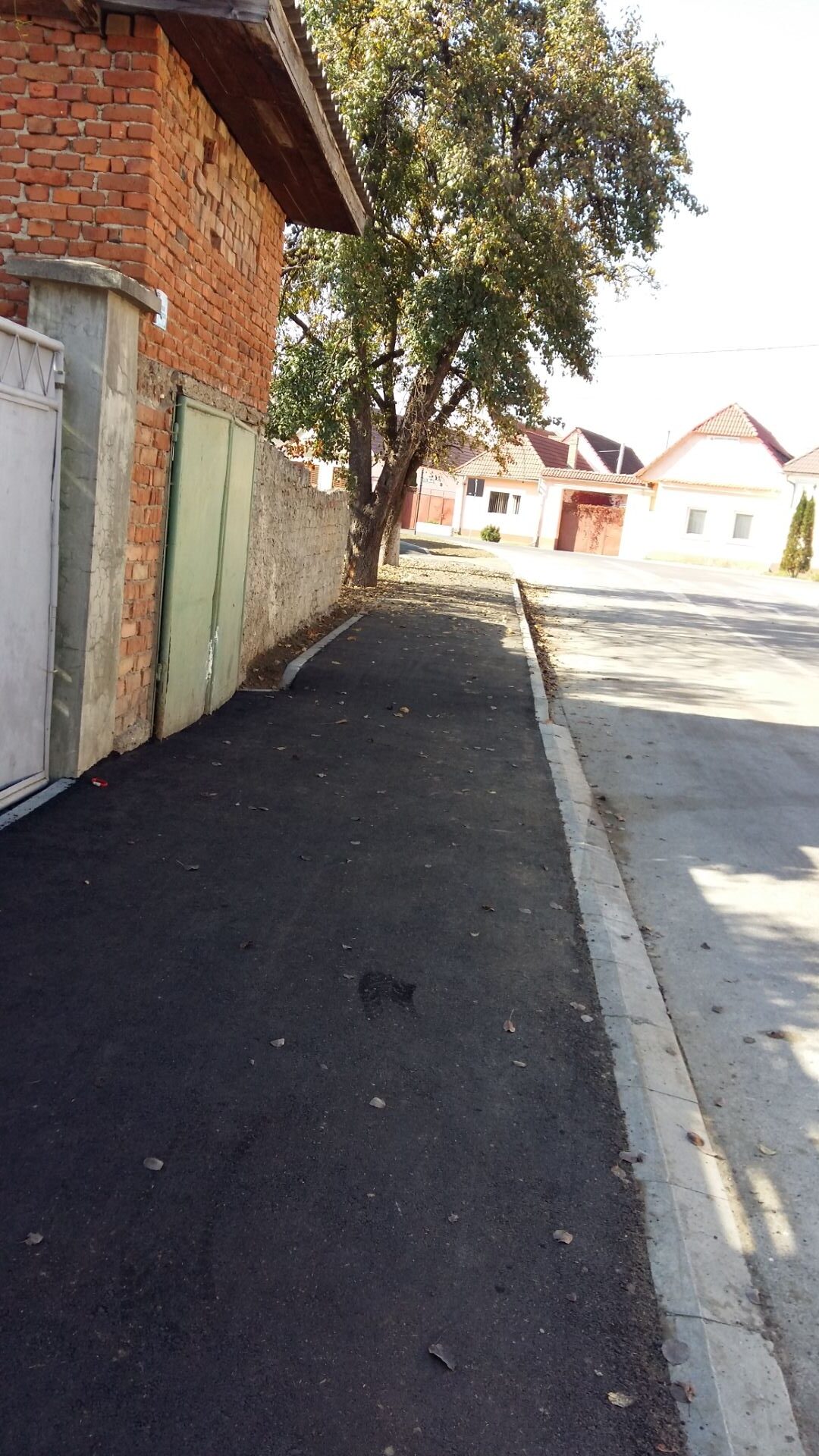 Amenajare-si-canalizare-pluviala-str-Morii-04